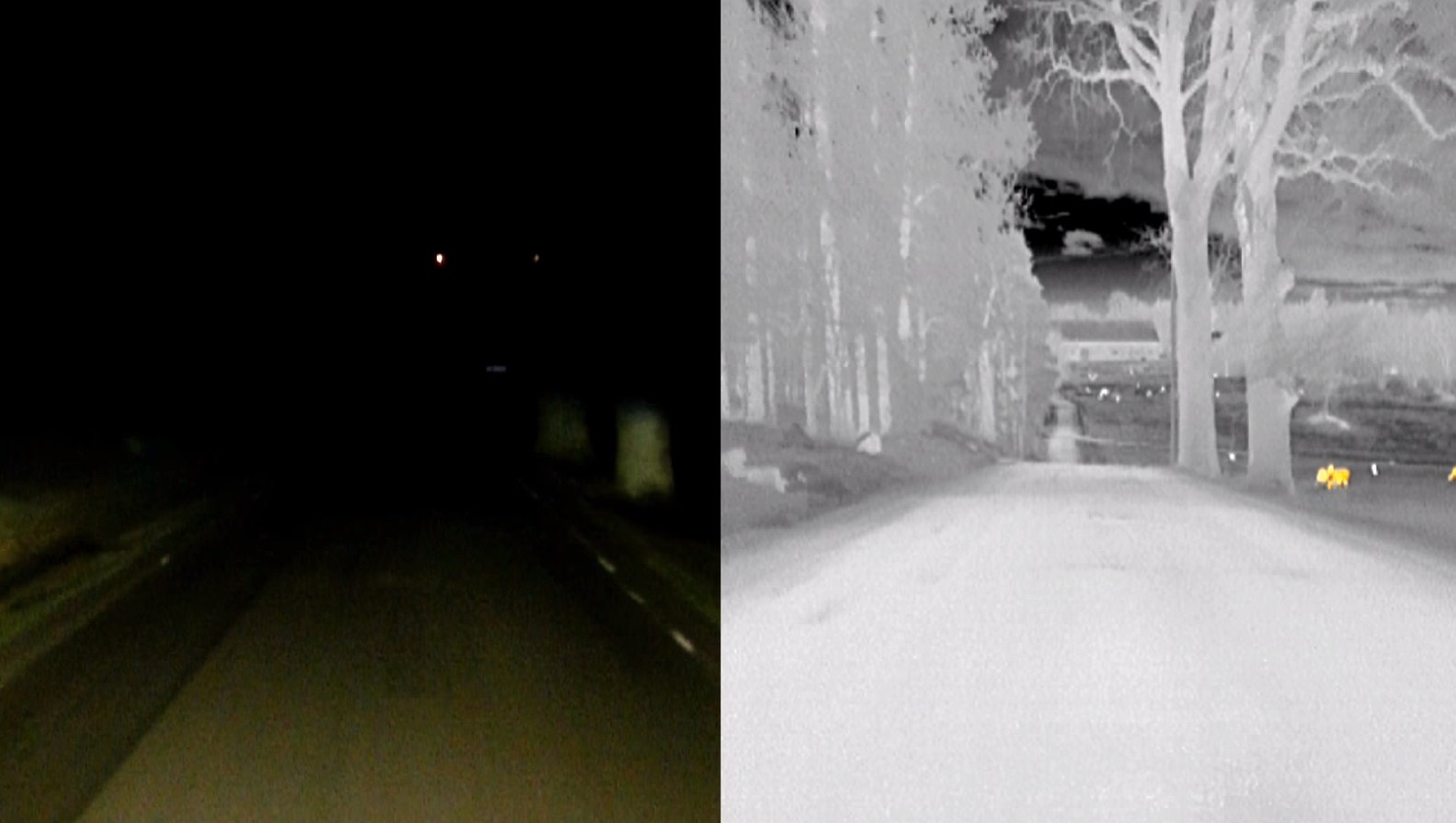 Обзор приборов ночного видения для автомобилей